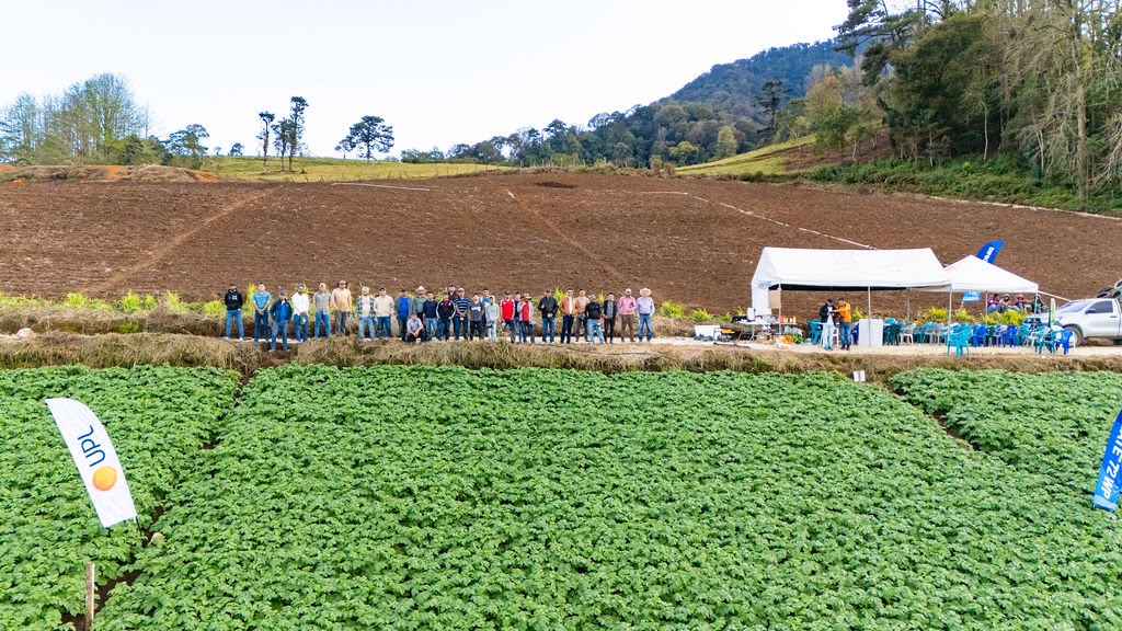 Asistencia en campo Prohorca Honduras